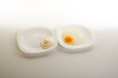 Mayonez salata yağı