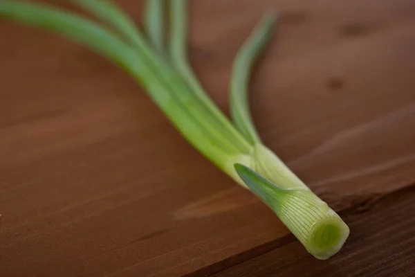 Green stalks of onions — Stock Photo, Image