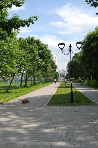 Straßenpflasterung im Sommer — Stockfoto