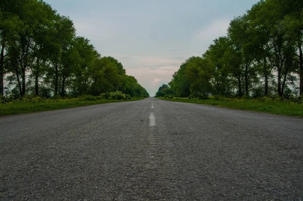 Temiz asfalt yol — Stok fotoğraf