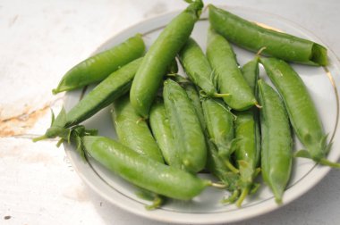 Genç yeşil bezelye