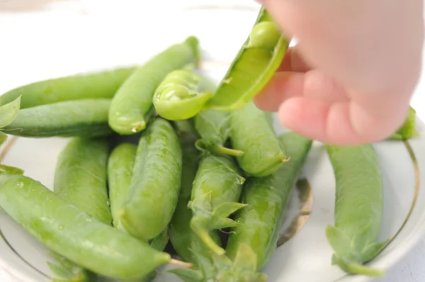 若い緑エンドウ豆 — ストック写真