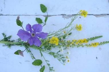 Bir buket yabani çiçek.