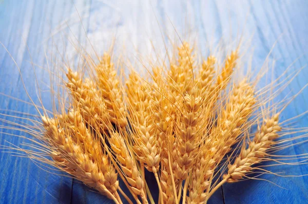 Olgun sarı buğday saplarını masada