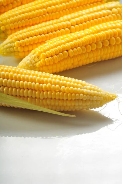 Reifen Mais auf weißem Hintergrund — Stockfoto