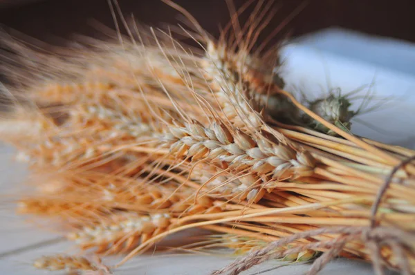 Zralé pšeničné otruby na stůl — Stock fotografie