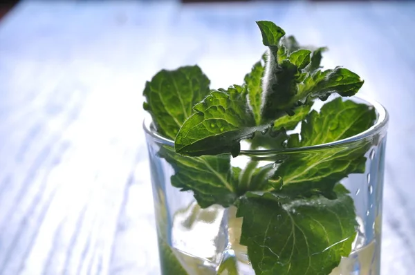 Mojito cocktail with lime and mint — Stock Photo, Image