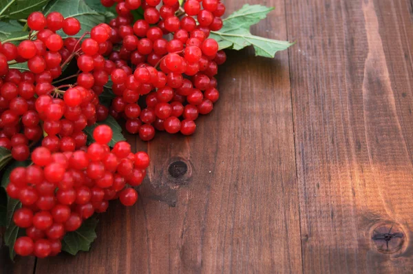 Viburnum rojo sobre una mesa de madera — Foto de Stock