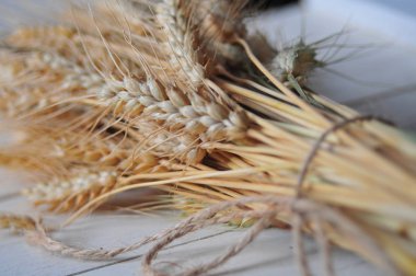 Masada olgun buğday kepeği