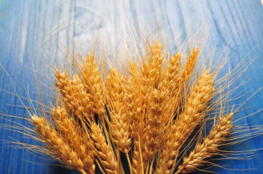 Masada olgun buğday kepeği
