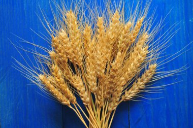 Masada olgun buğday kepeği