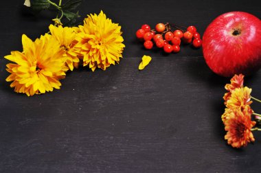 Sonbahar sakin bir hayat