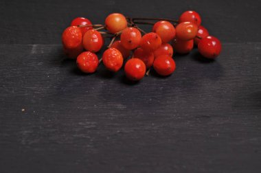 Sonbahar sakin bir hayat