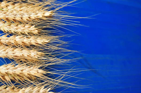 Zralé pšeničné otruby na stůl — Stock fotografie