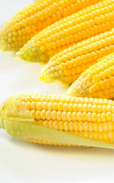 Beyaz bir arka plan üzerinde olgun Mısır