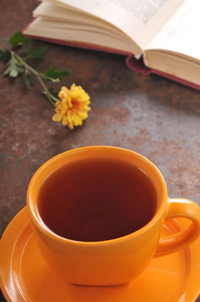 Hösten stilleben kopp te på bordet — Stockfoto