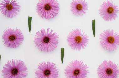 Beyaz arkaplanda pembe çiçekler