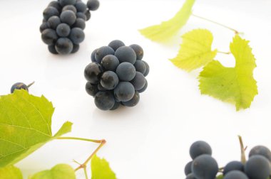 beyaz zemin üzerinde mavi üzüm