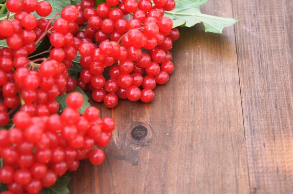 Красный вибурнум на деревянном столе — стоковое фото