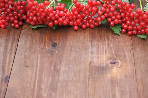 Viburnum rojo sobre una mesa de madera — Foto de Stock