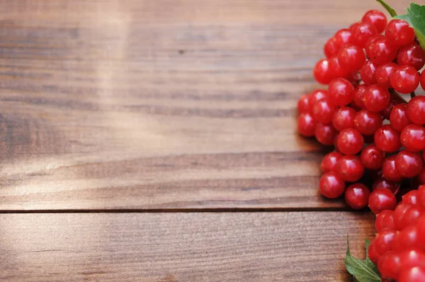 Красный вибурнум на деревянном столе — стоковое фото