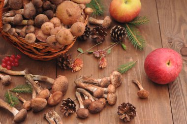 sonbahar natürmort tablo üzerinde mantar