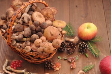 sonbahar natürmort tablo üzerinde mantar