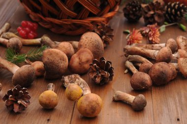 sonbahar natürmort tablo üzerinde mantar