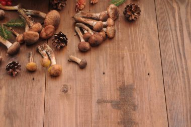 Tahta masadaki mantarlar