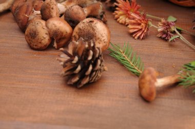 sonbahar natürmort tablo üzerinde mantar