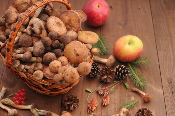 sonbahar natürmort tablo üzerinde mantar