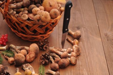 sonbahar natürmort tablo üzerinde mantar