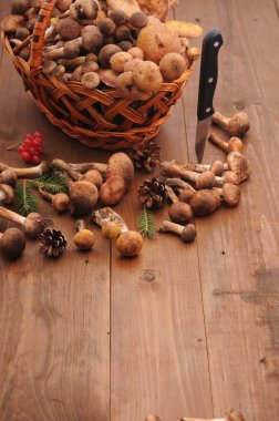 sonbahar natürmort tablo üzerinde mantar