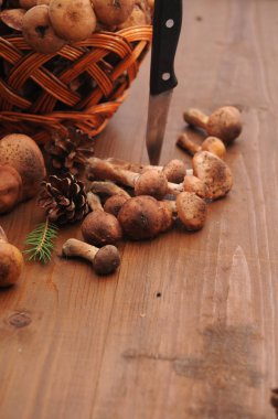 sonbahar natürmort tablo üzerinde mantar