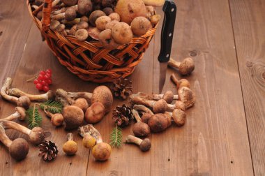 sonbahar natürmort tablo üzerinde mantar