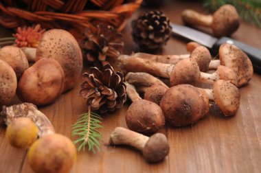 sonbahar natürmort tablo üzerinde mantar