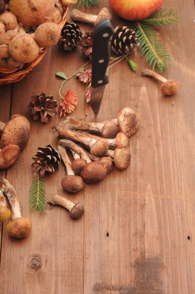 sonbahar natürmort tablo üzerinde mantar