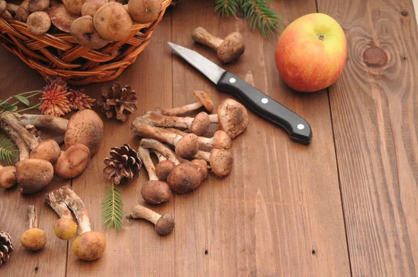 sonbahar natürmort tablo üzerinde mantar