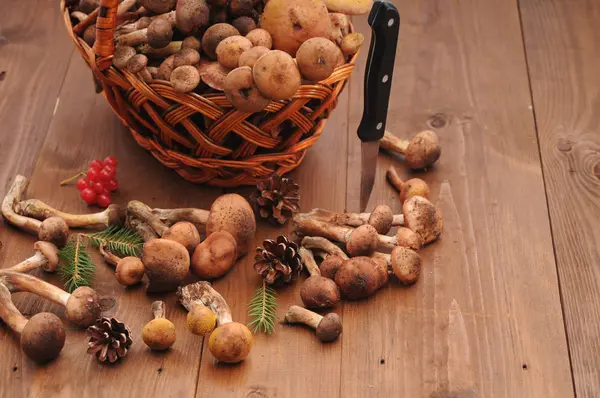 sonbahar natürmort tablo üzerinde mantar