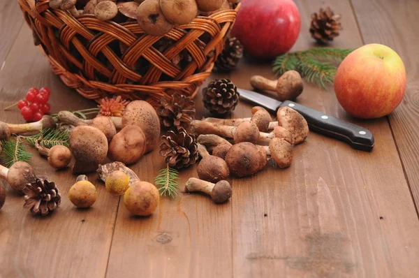 sonbahar natürmort tablo üzerinde mantar