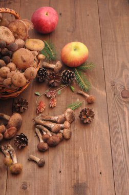 sonbahar natürmort tablo üzerinde mantar