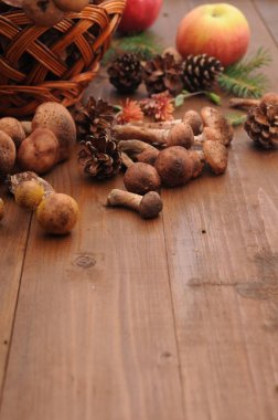 sonbahar natürmort tablo üzerinde mantar