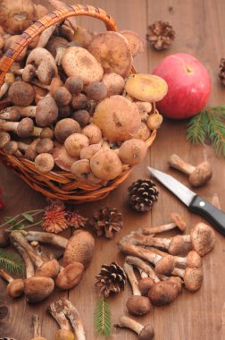 sonbahar natürmort tablo üzerinde mantar