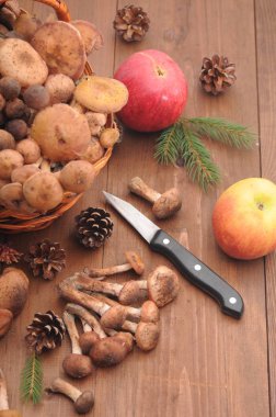 sonbahar natürmort tablo üzerinde mantar