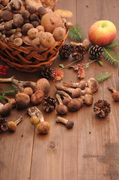 sonbahar natürmort tablo üzerinde mantar