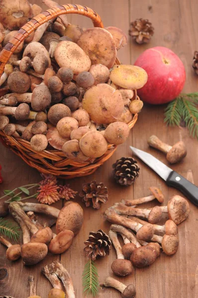 sonbahar natürmort tablo üzerinde mantar