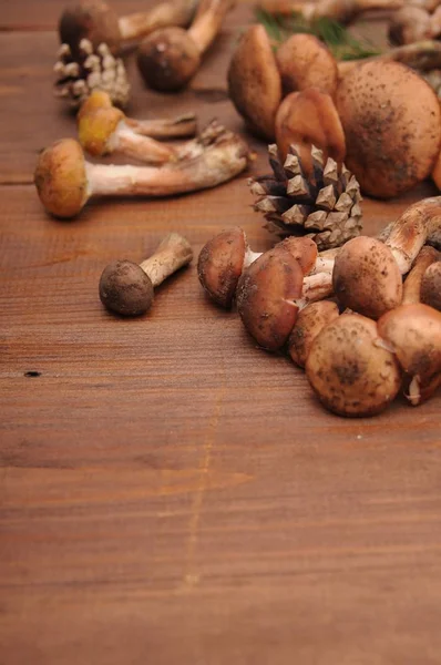 sonbahar natürmort tablo üzerinde mantar