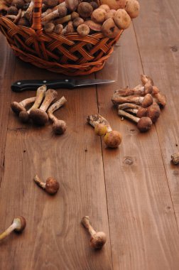 Orman mantar sepeti ahşap tablo