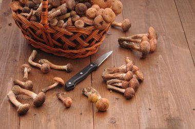 Orman mantar sepeti ahşap tablo