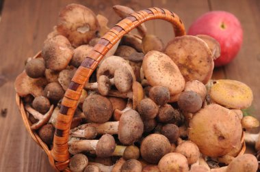 sonbahar natürmort tablo üzerinde mantar